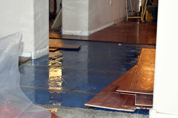 Professional Flood Damage Restoration technician working in Lincoln, TX